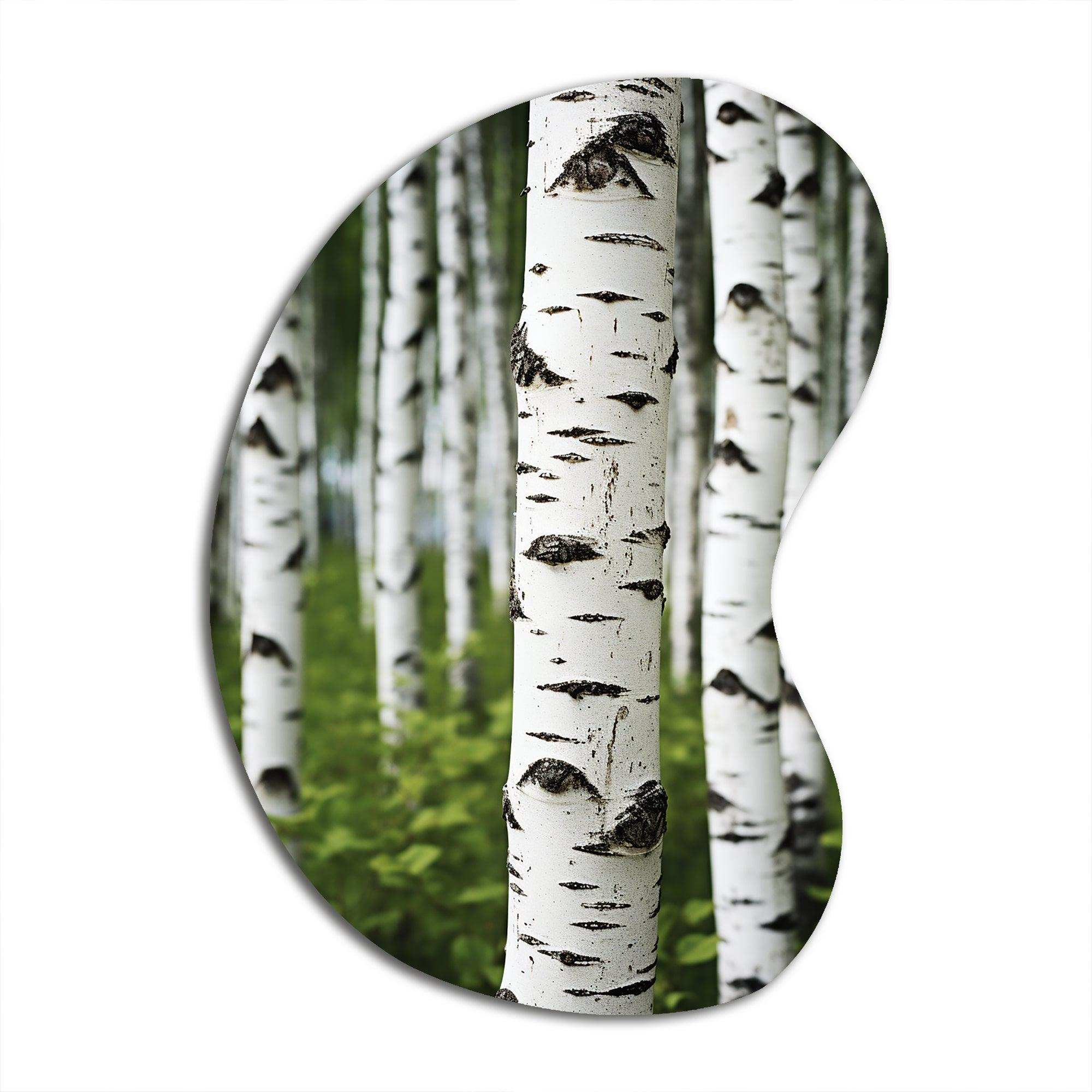 White Green Birch Tree Whispers III - Asymmetric Metal Wall Art
