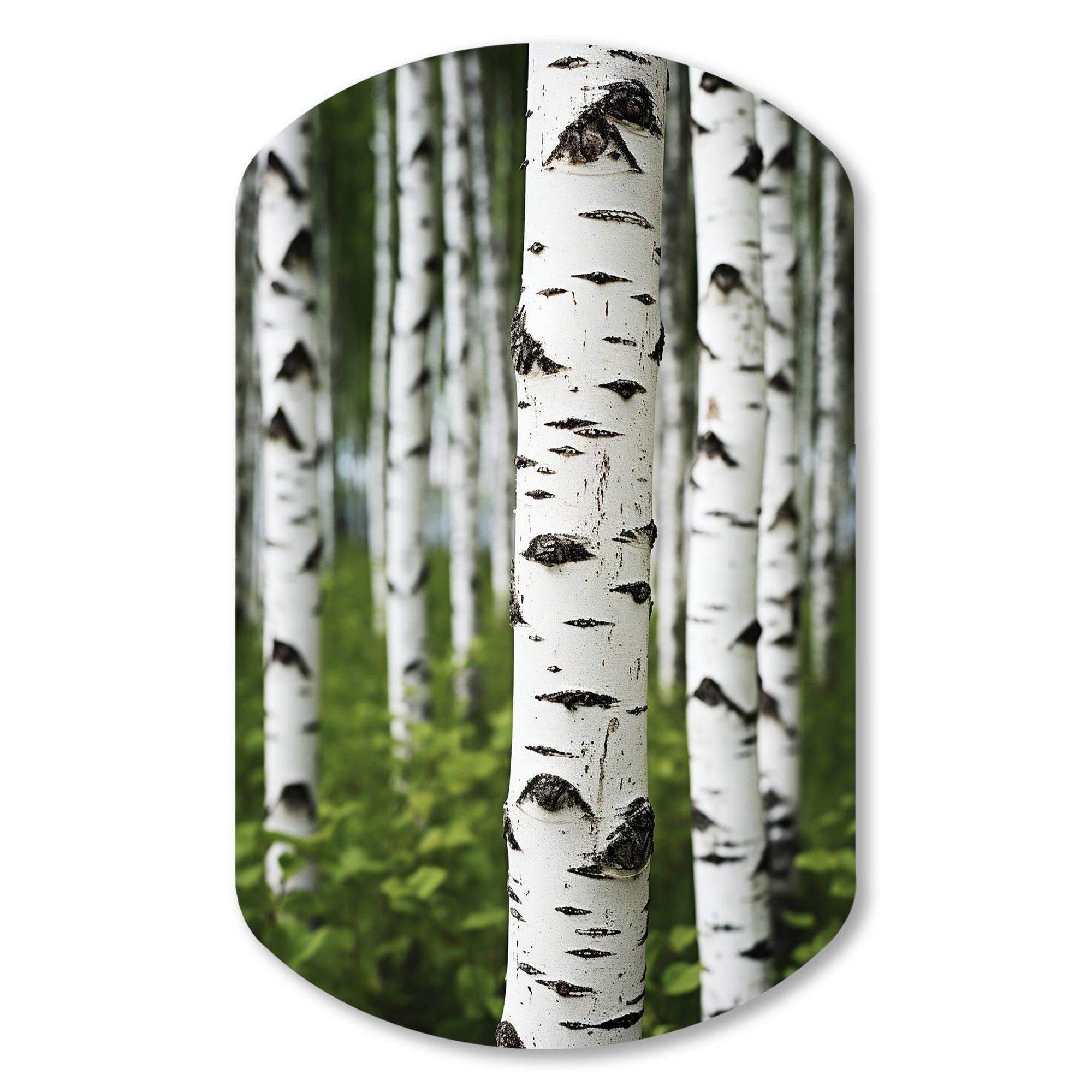 White Green Birch Tree Whispers III - Asymmetric Metal Wall Art