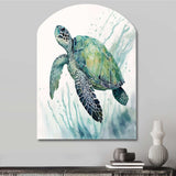 Watercolor Turtle Swimming IV - Asymmetric Metal Wall Art