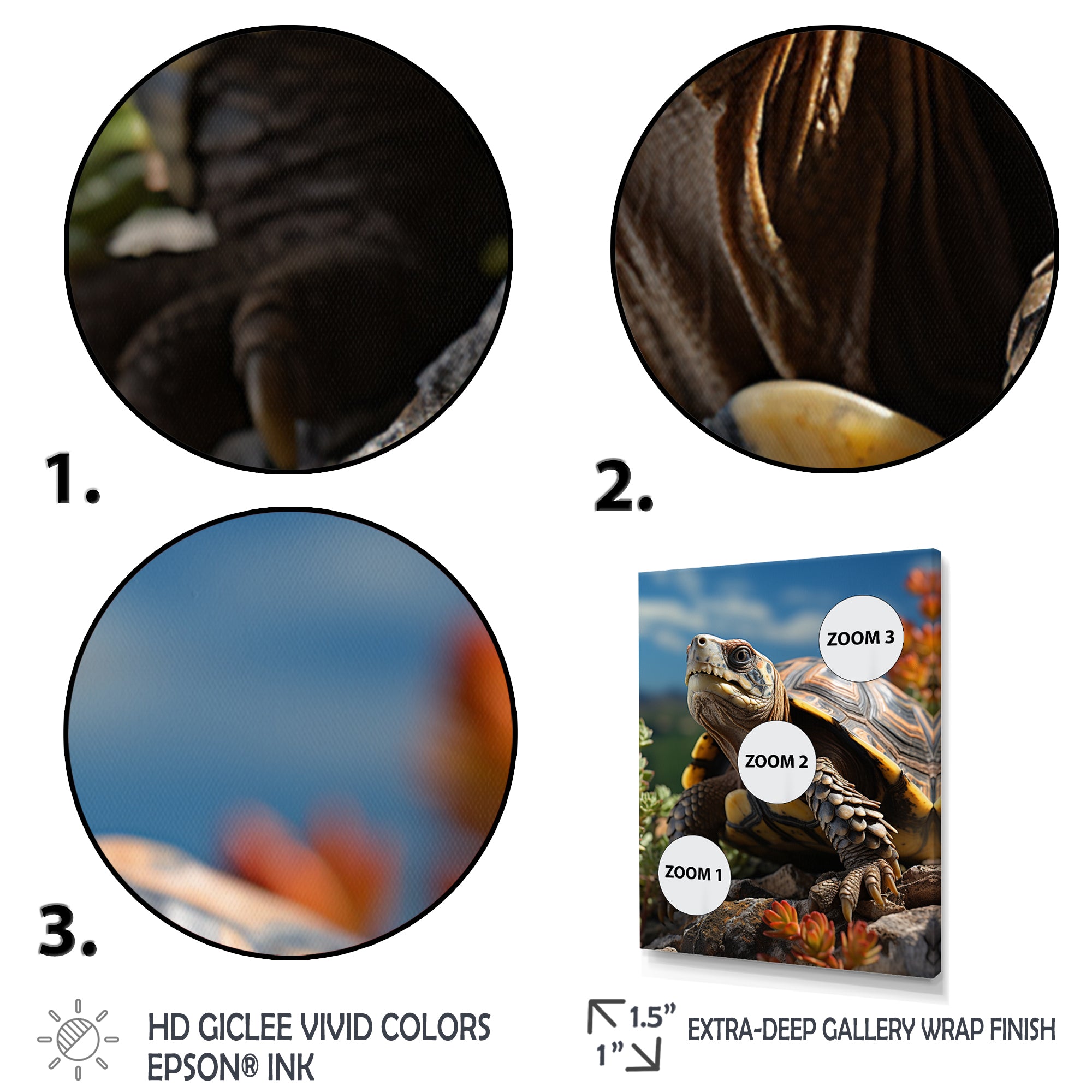 Turtles Journey Portrait - Turtle Wall Art Prints