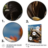 Turtles Journey Portrait - Turtle Wall Art Prints