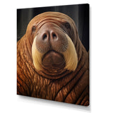 Walrus Ancient Wisdom - Walrus Large Canvas Wall Art