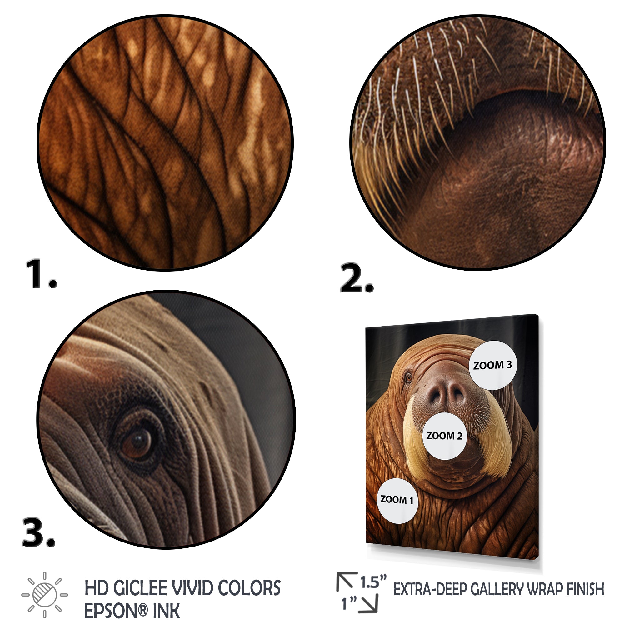 Walrus Ancient Wisdom - Walrus Large Canvas Wall Art