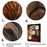 Walrus Ancient Wisdom - Walrus Large Canvas Wall Art