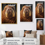Walrus Ancient Wisdom - Walrus Large Canvas Wall Art