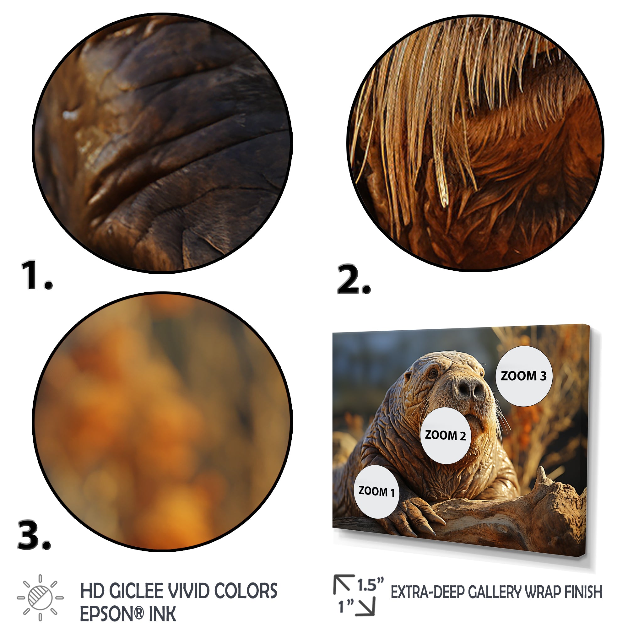Walrus Golden Tusks - Walrus Wall Decor