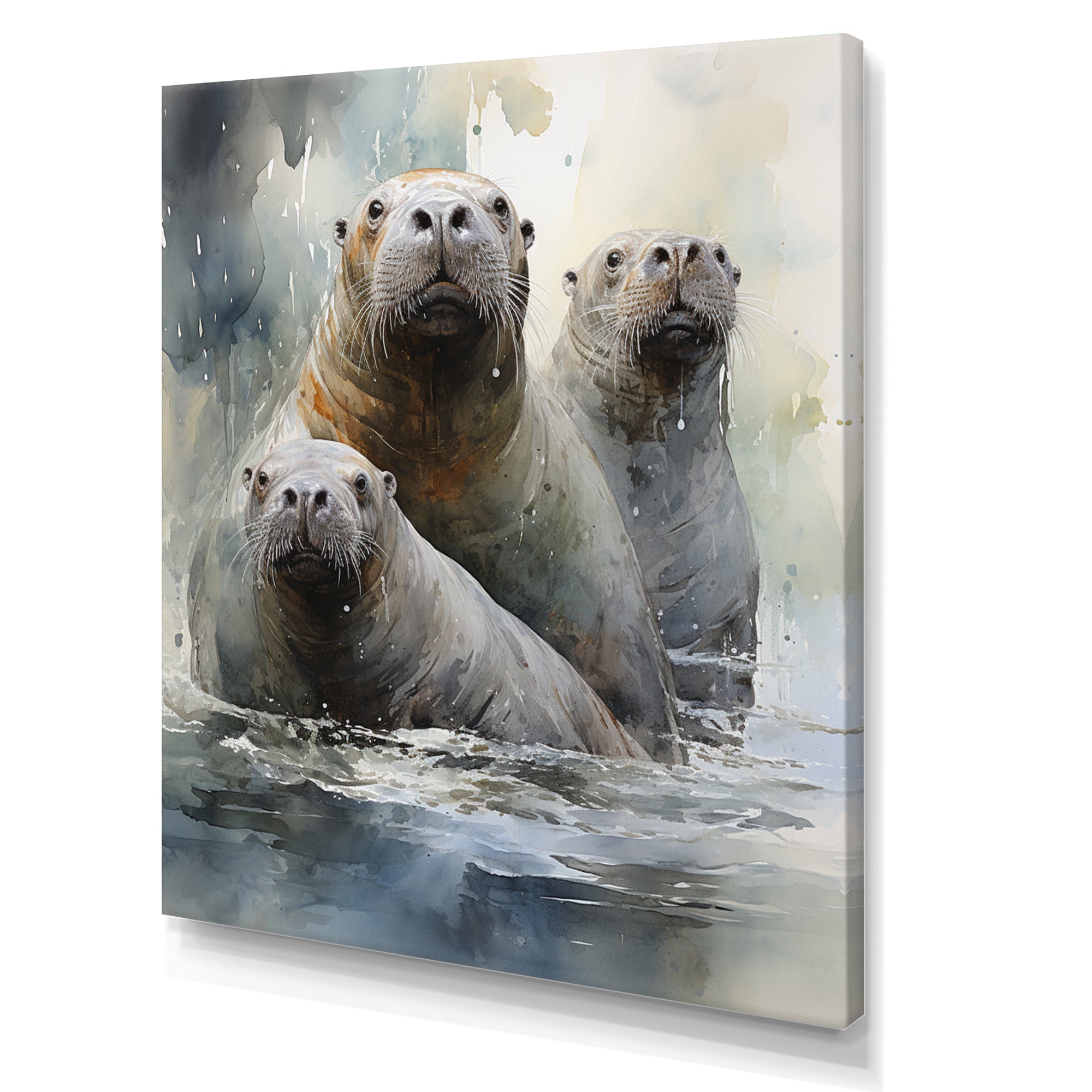 Walrus Graceful Giants - Walrus Wall Art Prints