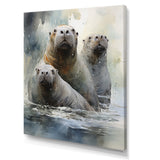 Walrus Graceful Giants - Walrus Wall Art Prints
