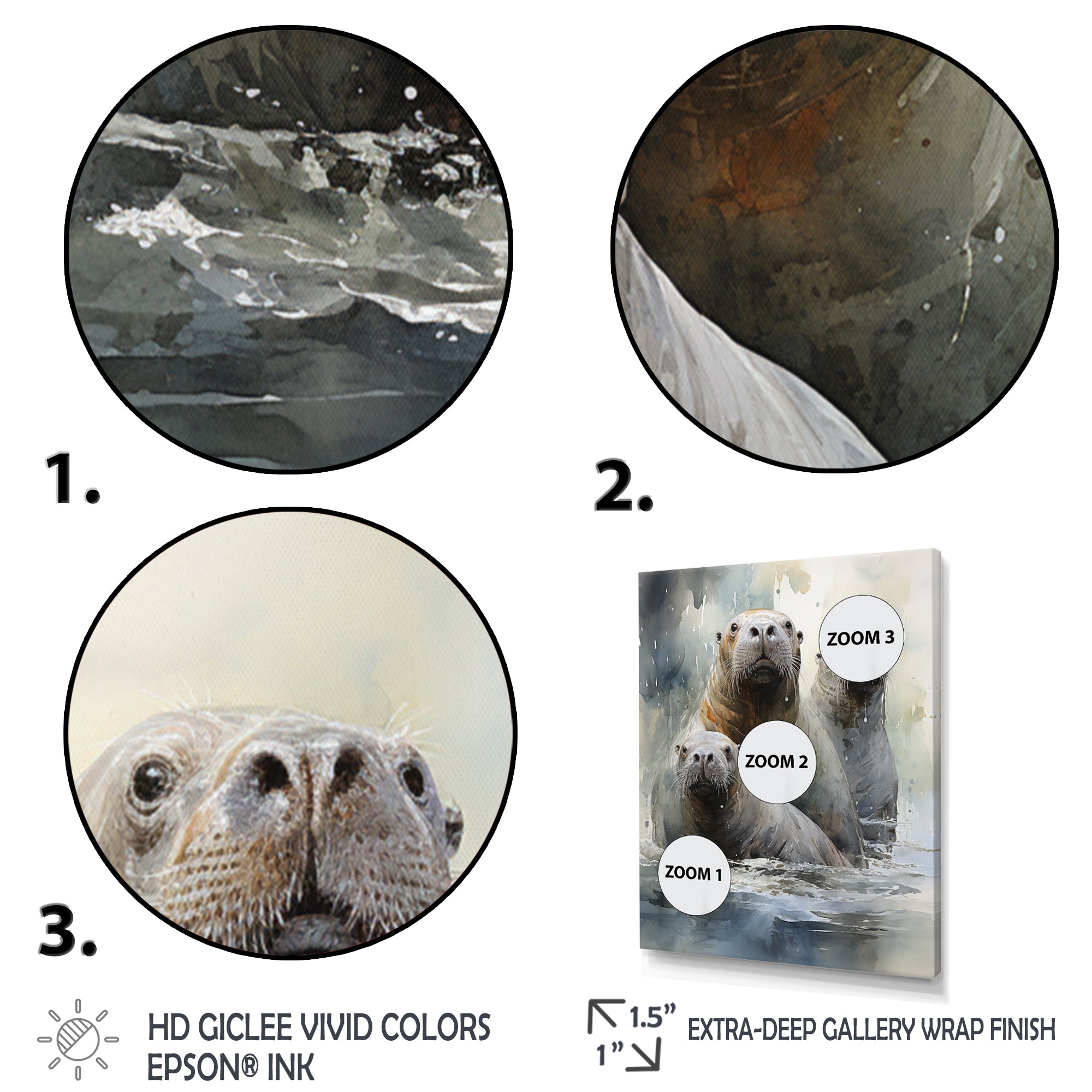 Walrus Graceful Giants - Walrus Wall Art Prints