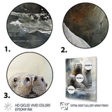 Walrus Graceful Giants - Walrus Wall Art Prints