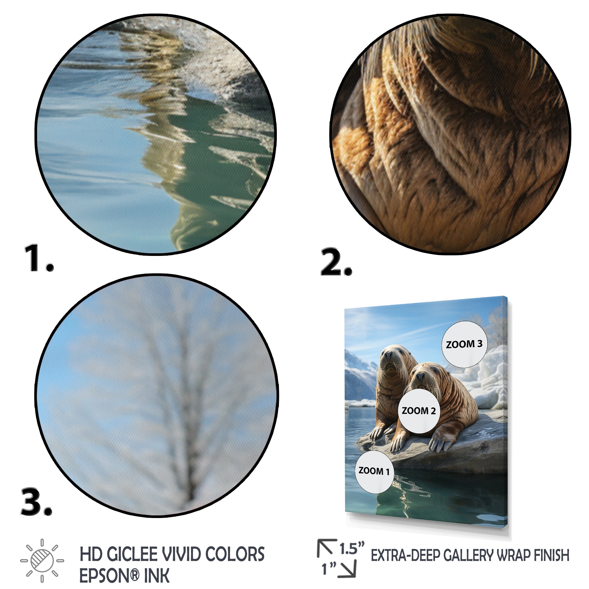 Walrus Majestic Guardians - Walrus Wall Art Prints