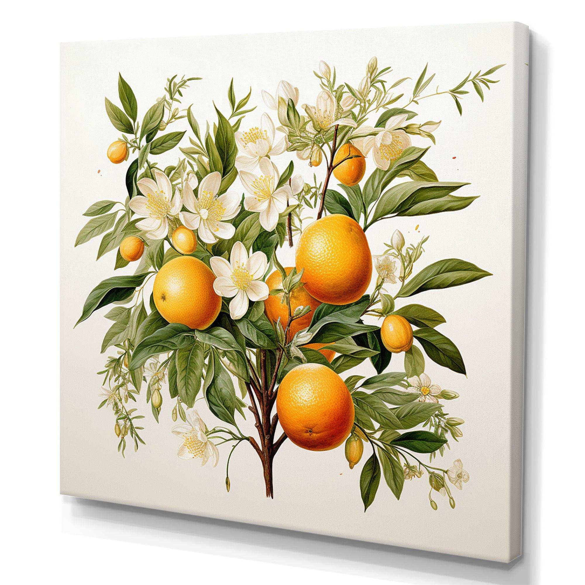 Orange Tree - Food & Beverage Canvas Wall Art