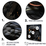 Cool Black Bird Noir Aviators - Bird Living Room Wall Art