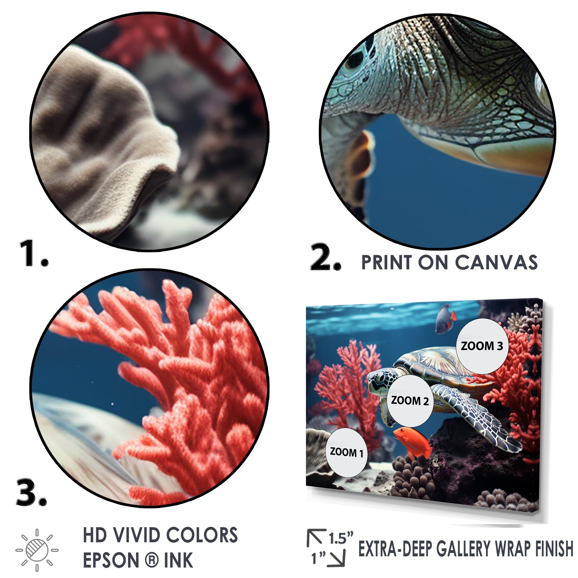 Monochrome Coral And Grey Turtle Paddle - Turtle Canvas Wall Art