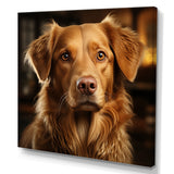 Dog Golden Grace - Brown Dog Wall Art