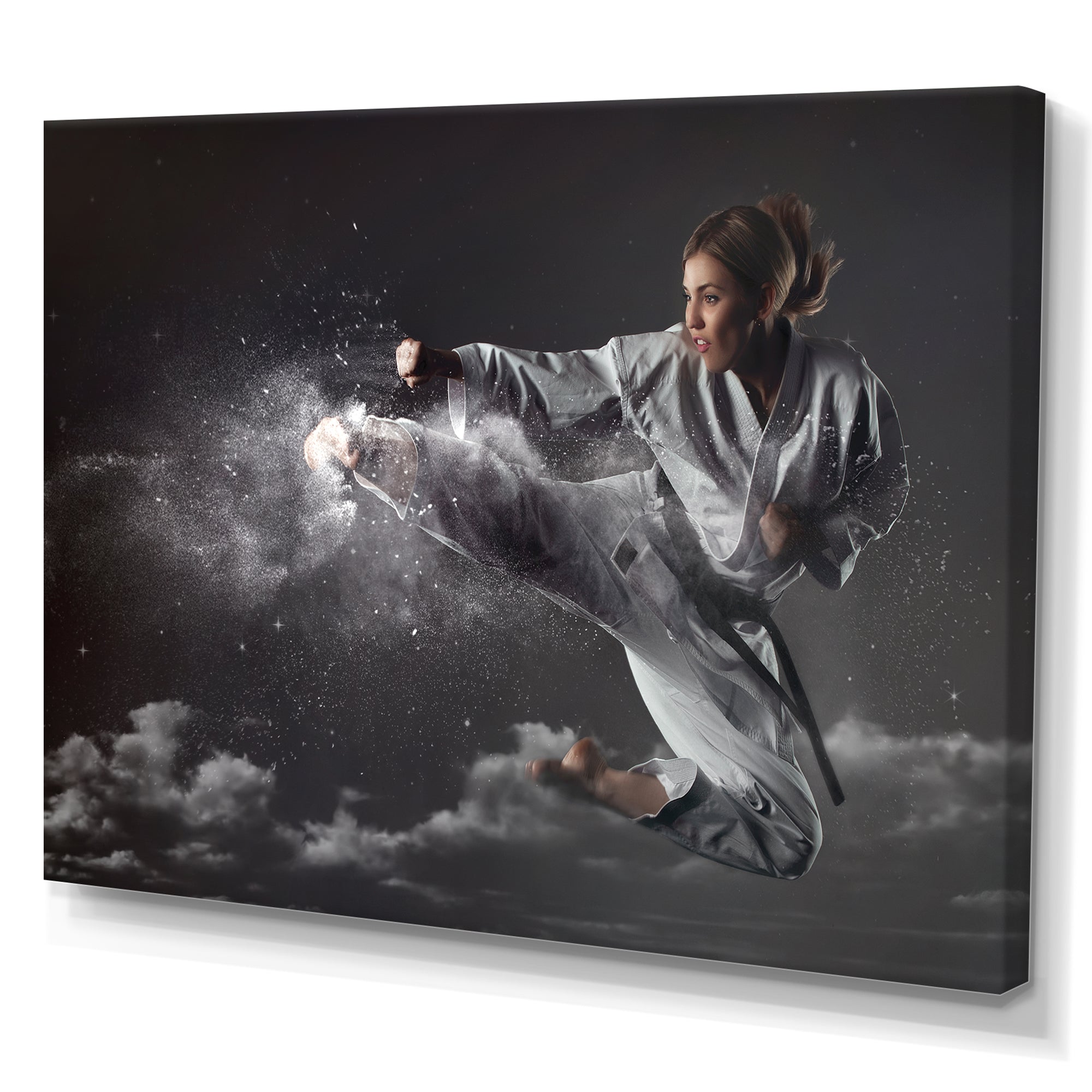 In Air Karate Martial Art Kick - Martial Arts Canvas Wall Art