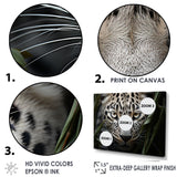 Jungle Leopard Stalk - Leopard Framed Canvas Art