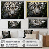 Jungle Leopard Stalk - Leopard Framed Canvas Art