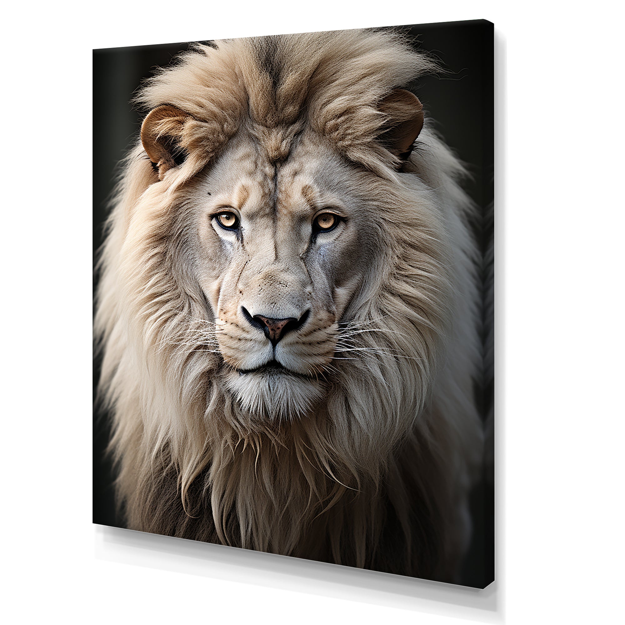 Lions Monochrome Photography - Lion Canvas Wall Art
