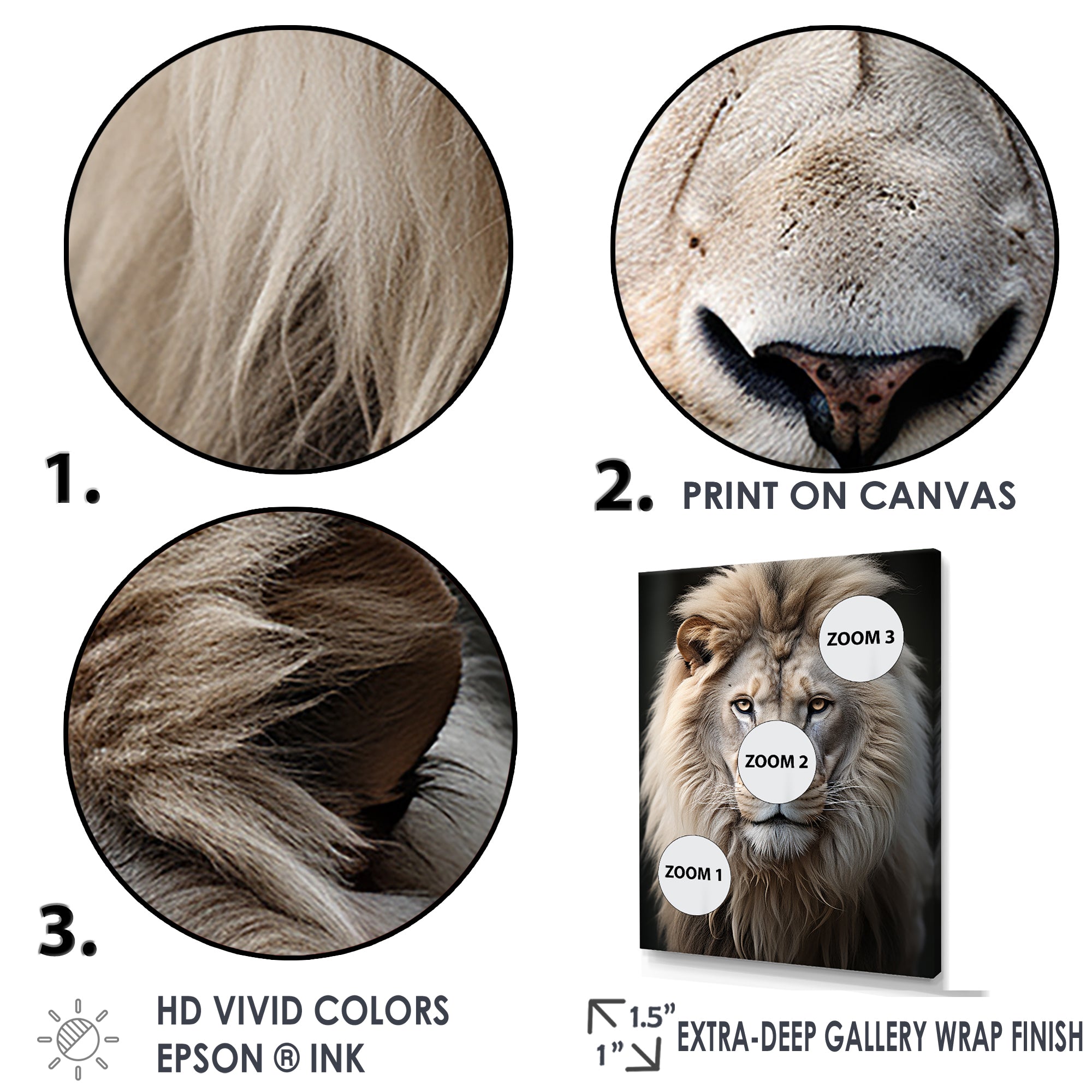 Lions Monochrome Photography - Lion Canvas Wall Art