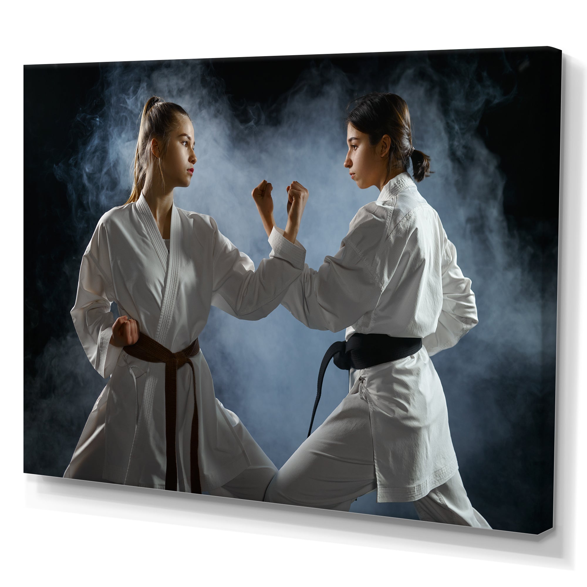 Women Martial Arts Fight Training Studio - Martial Arts Canvas Wall Art