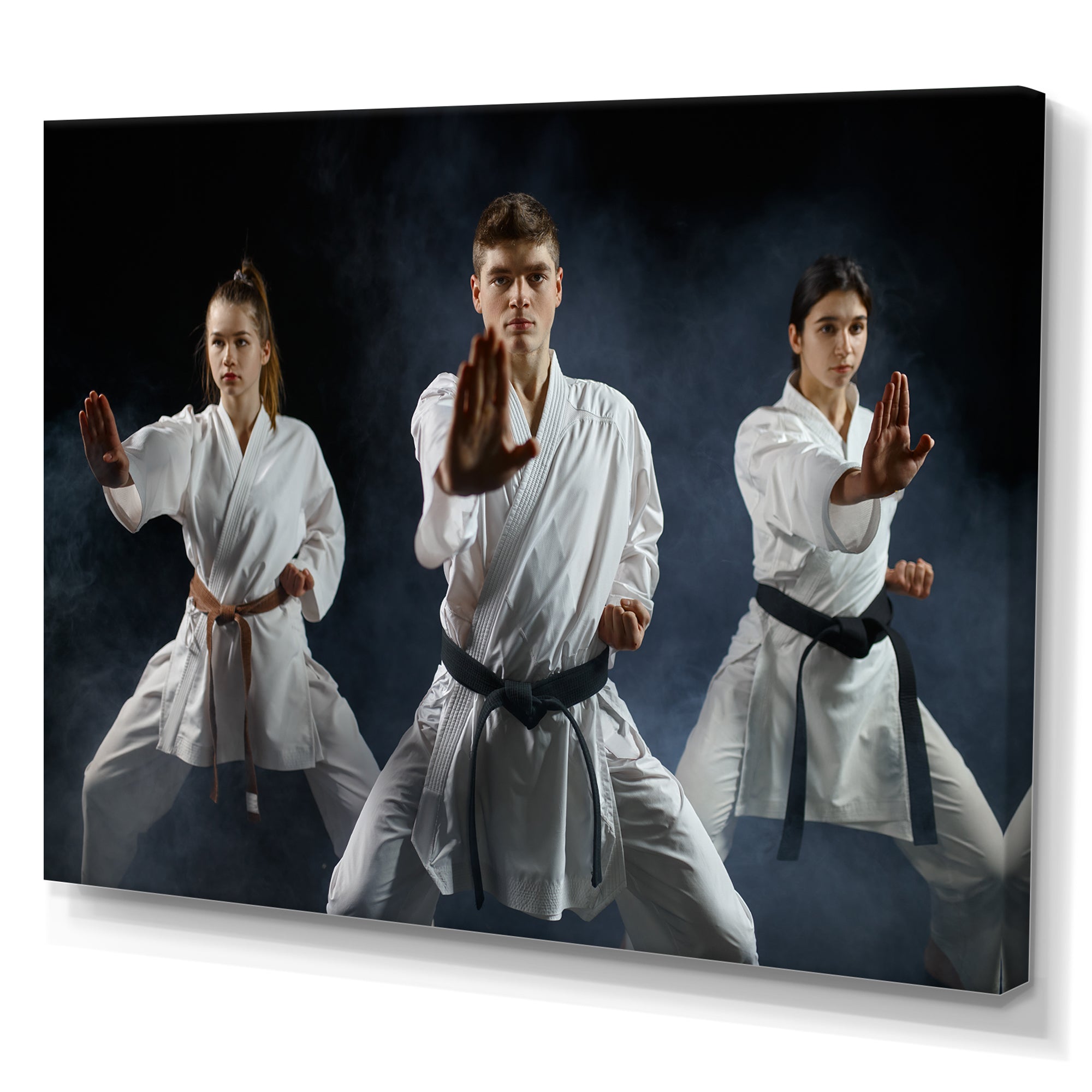 Martial Arts Fight Training Studio - Martial Arts Canvas Wall Art
