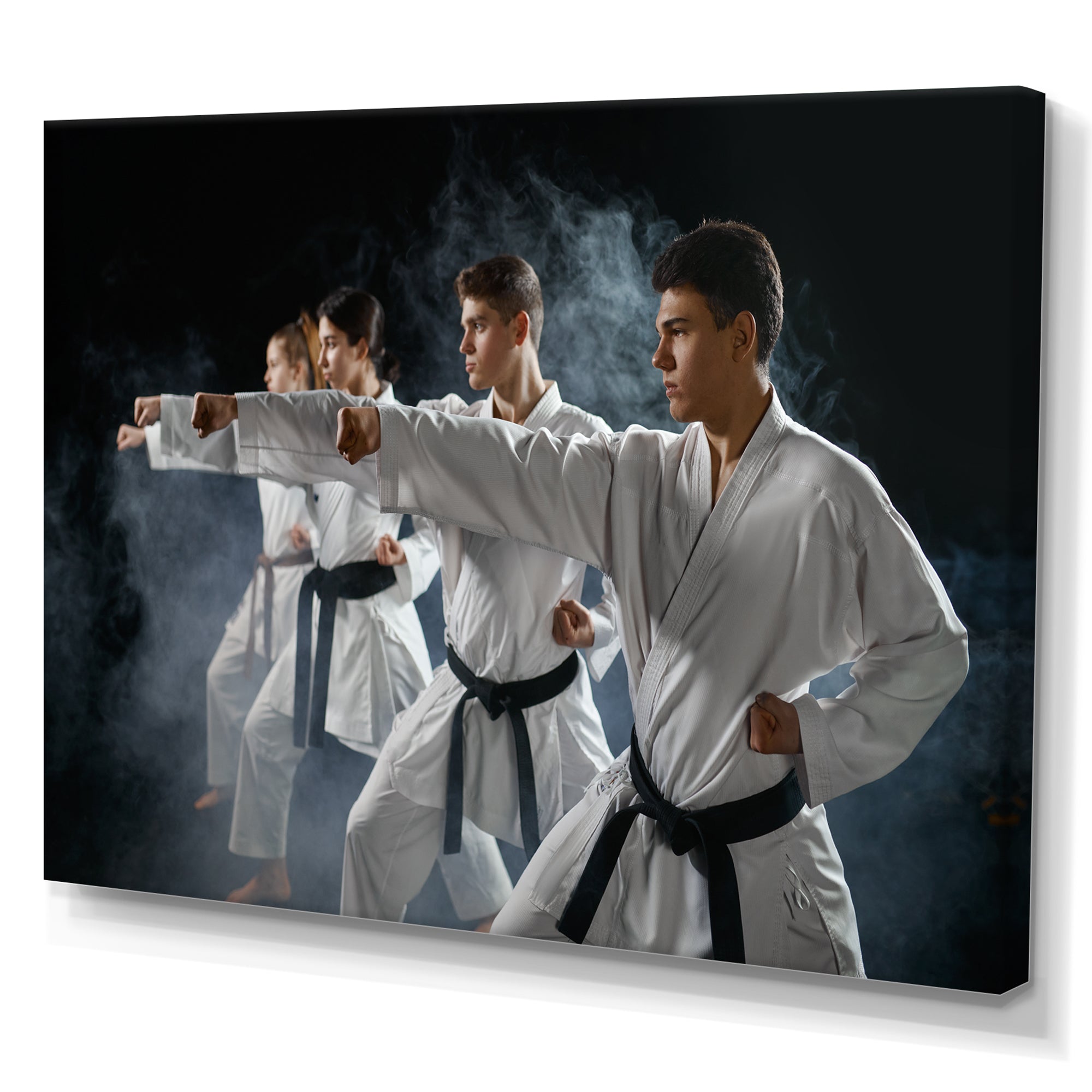 Martial Arts Fight Training Studio I - Martial Arts Canvas Wall Art