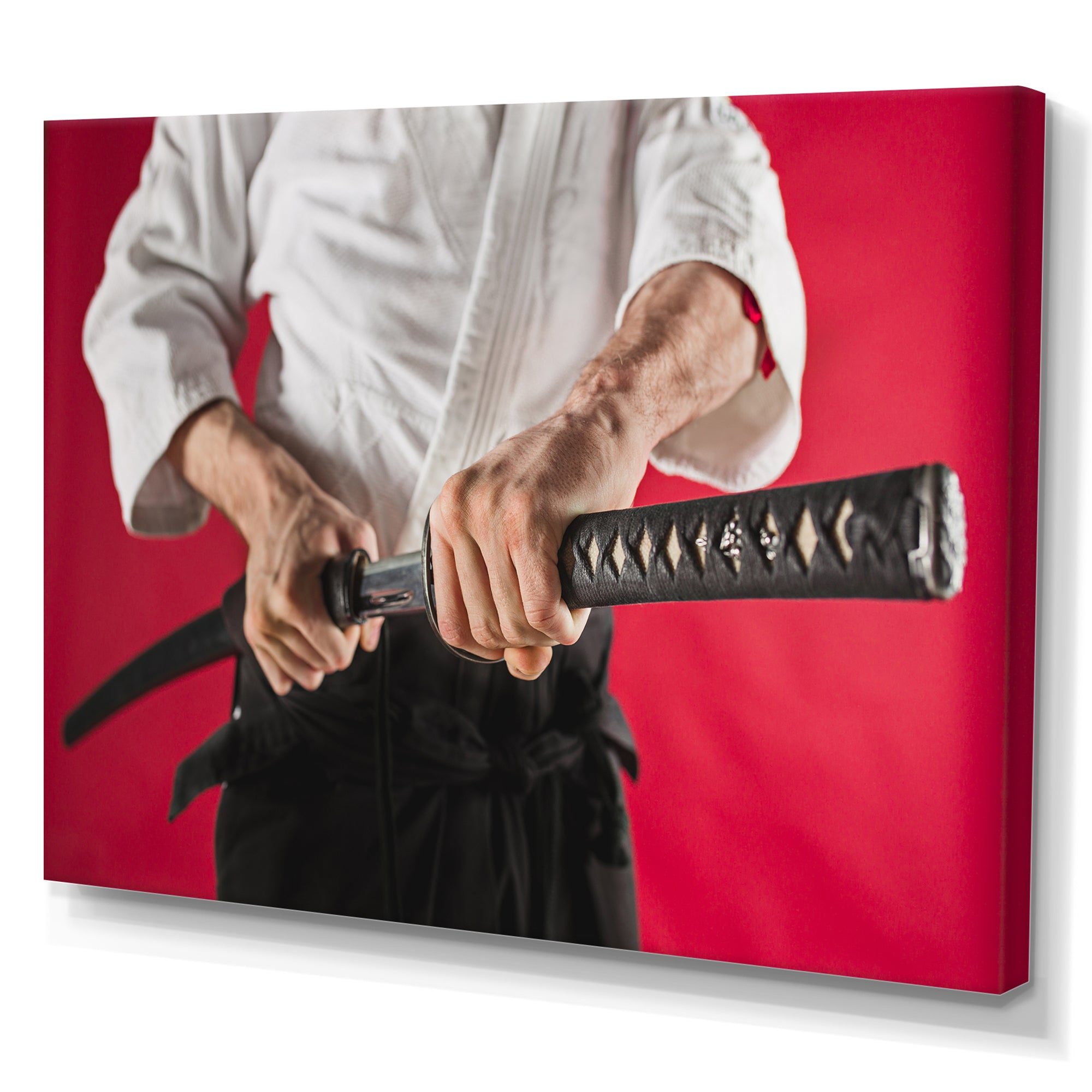 Man Training Aikido Martial Arts Studio - Martial Arts Canvas Wall Art