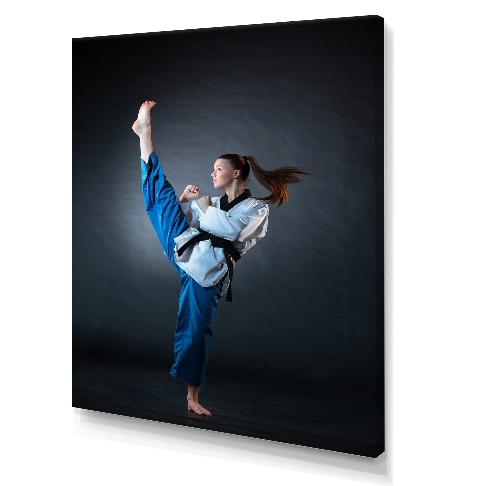 Karate Kick Black Belt - Martial Arts Canvas Wall Art