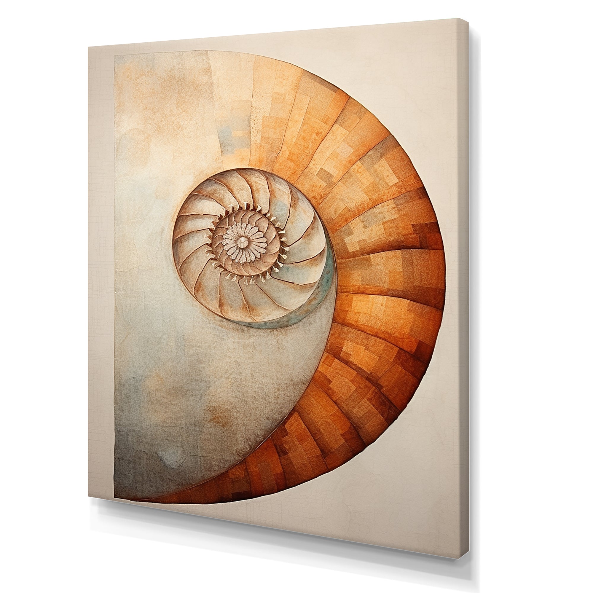 Copper Curves Nautilus Spiral - Nautilus Wall Decor