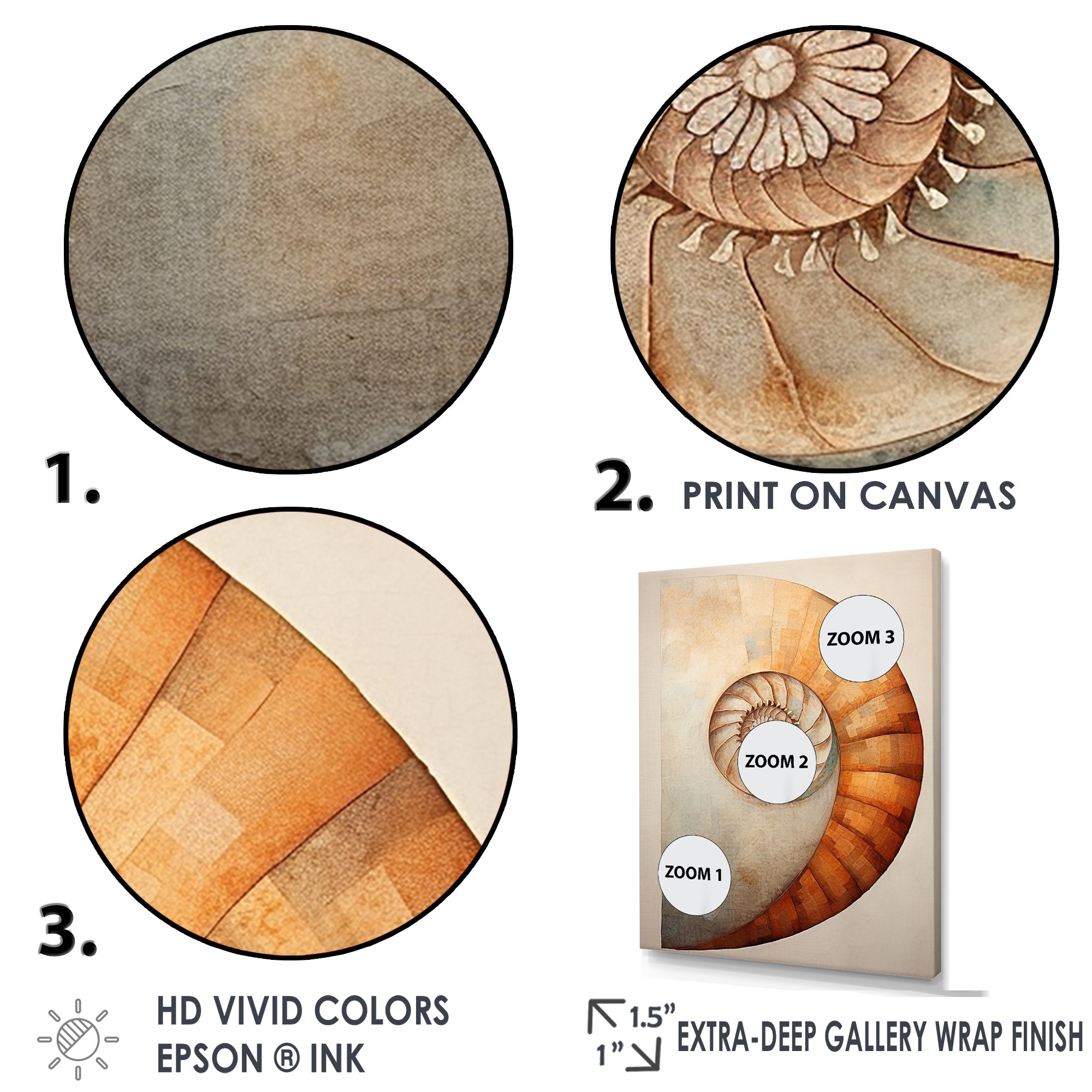 Copper Curves Nautilus Spiral - Nautilus Wall Decor