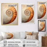 Copper Curves Nautilus Spiral - Nautilus Wall Decor