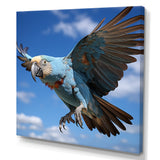 Parrots Wings Of Beauty - Parrot Framed Canvas Art
