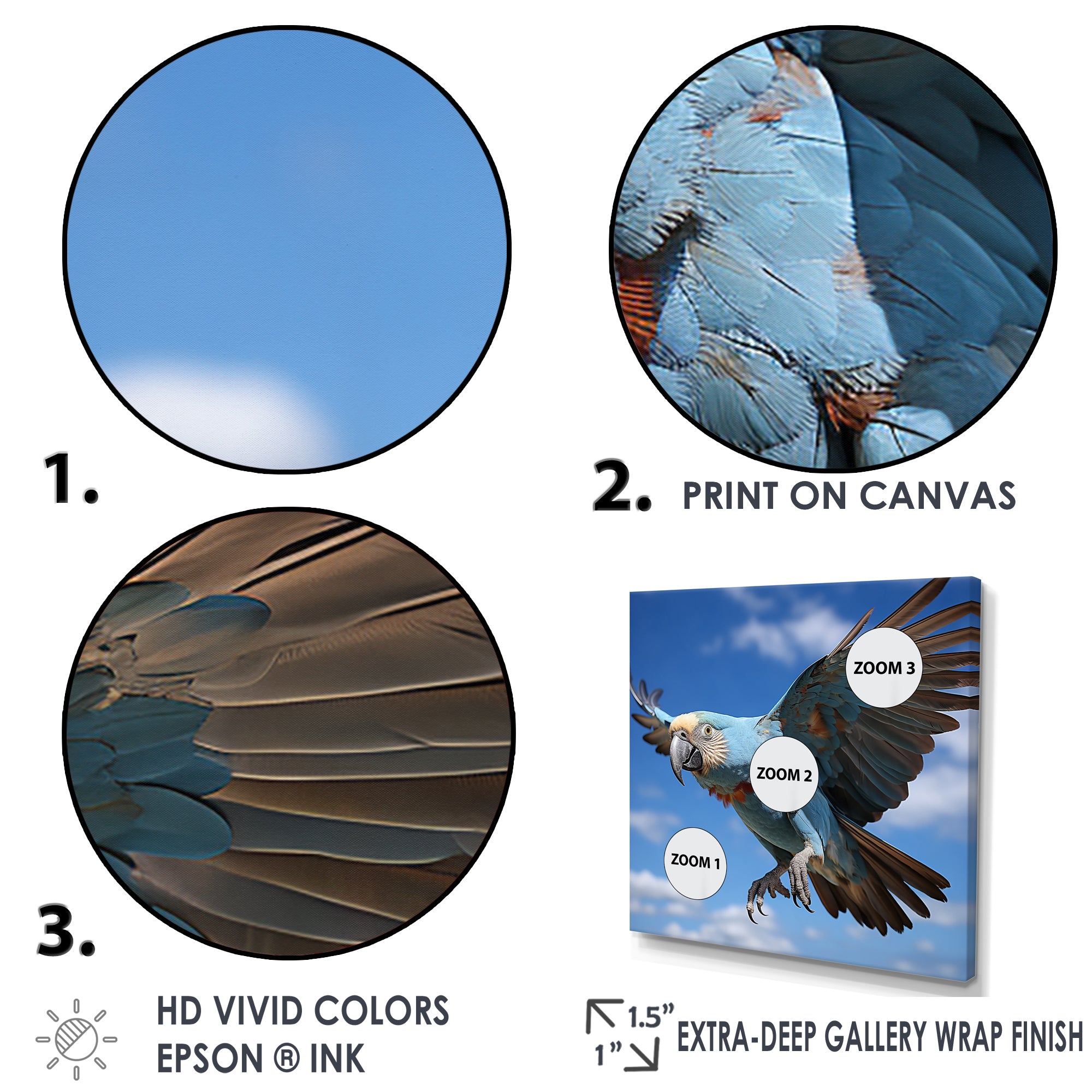 Parrots Wings Of Beauty - Parrot Framed Canvas Art