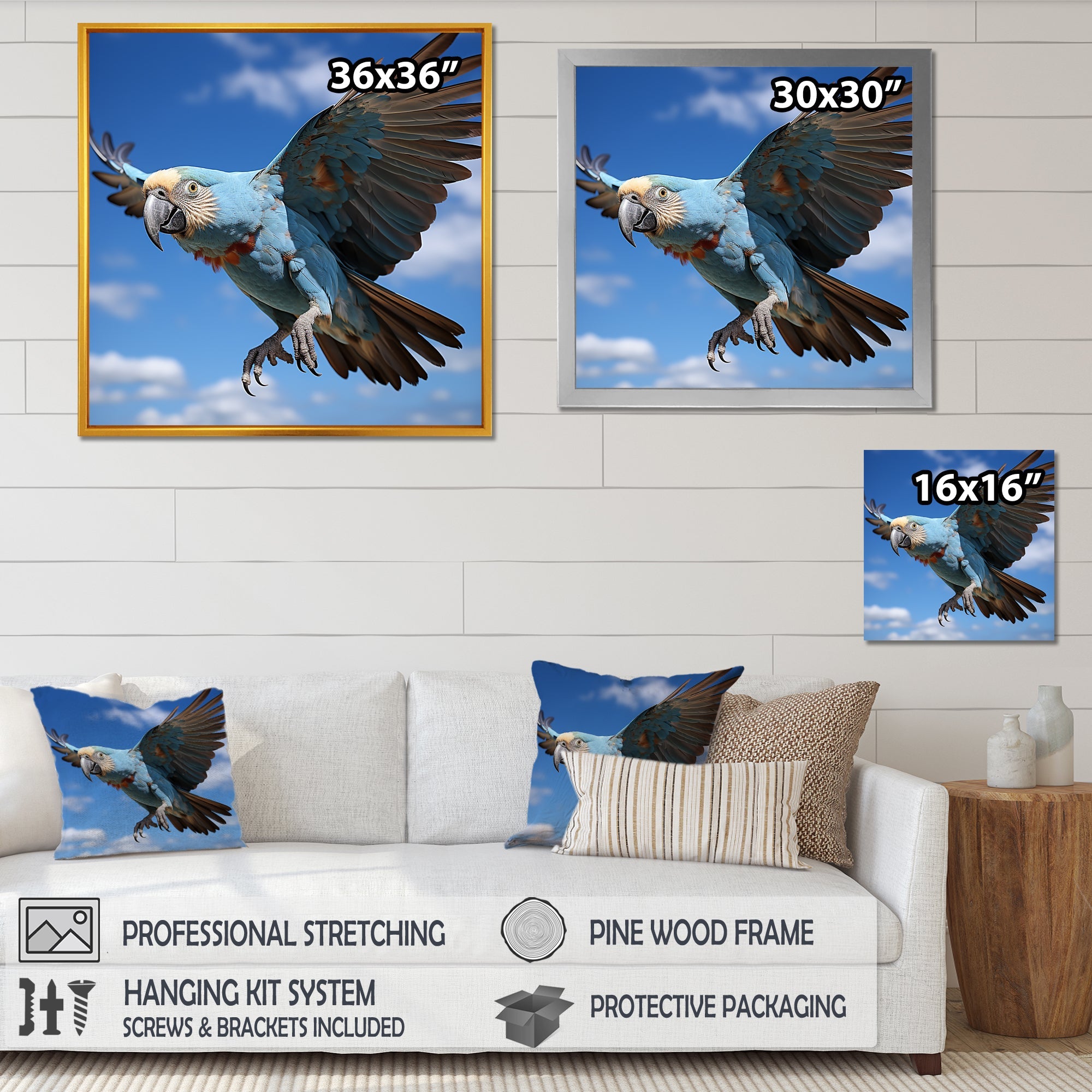 Parrots Wings Of Beauty - Parrot Framed Canvas Art