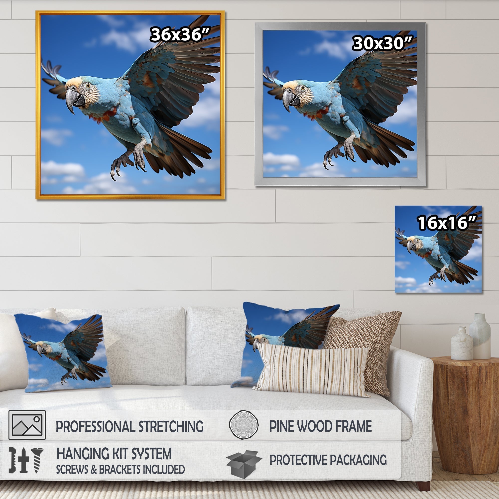 Parrots Wings Of Beauty - Parrot Framed Canvas Art