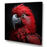 Crimson Elegance Tropical Parrot - Parrot Canvas Wall Art