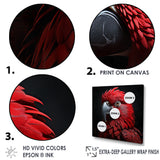 Crimson Elegance Tropical Parrot - Parrot Canvas Wall Art