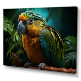 Parrots Emerald Magical Melodies - Parrot Wall Art Prints