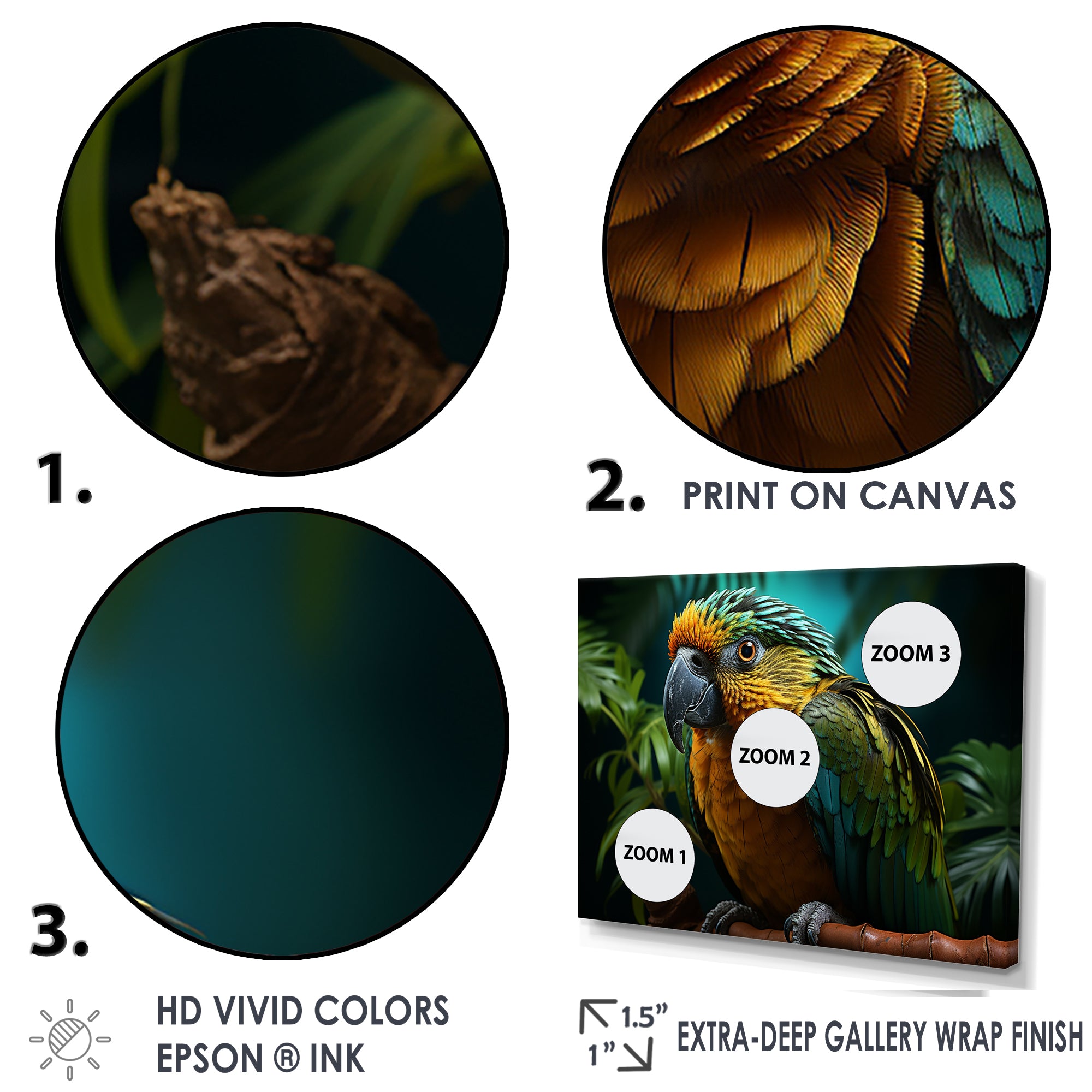 Parrots Emerald Magical Melodies - Parrot Wall Art Prints