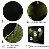 Eternal Winged Elegance - Green Parrot Wall Art