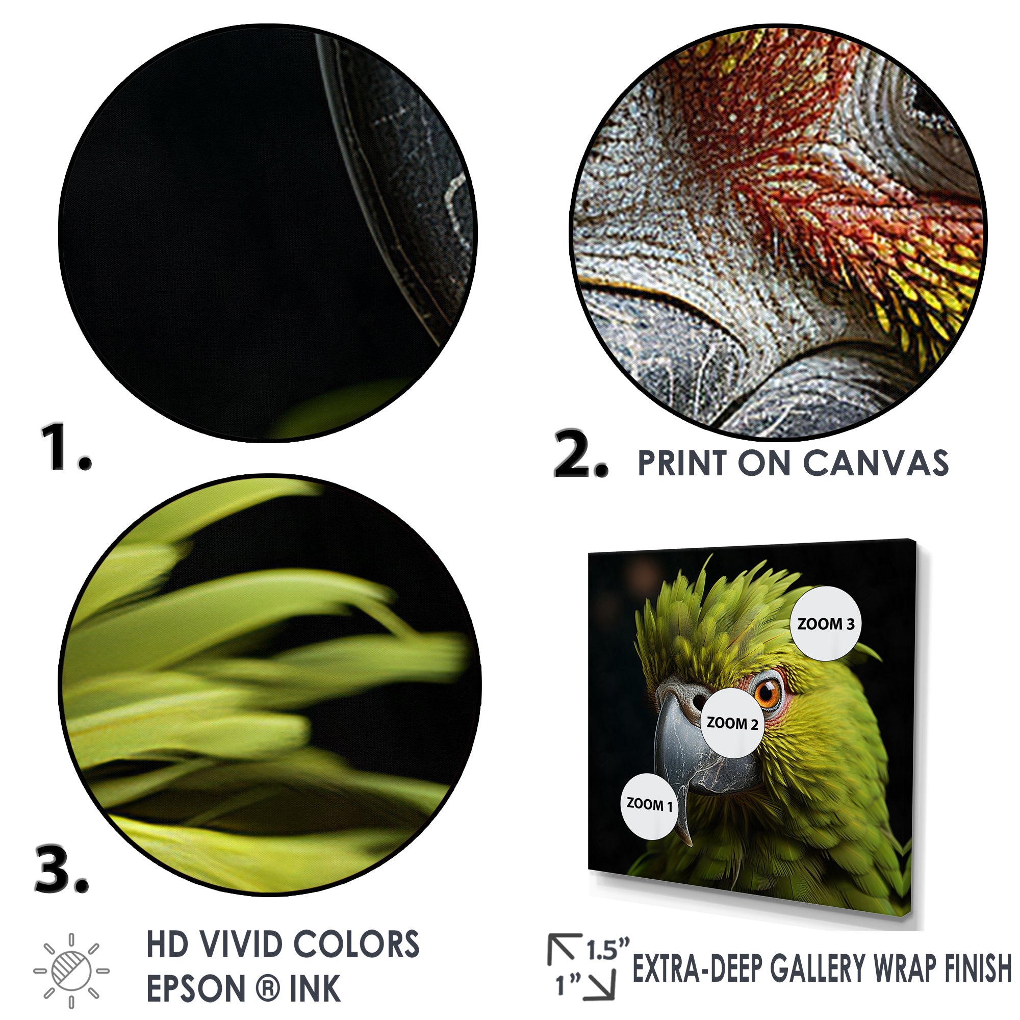 Green Eternal Feathered Vibrance - Parrot Framed Canvas Art