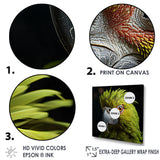 Green Eternal Feathered Vibrance - Parrot Framed Canvas Art