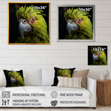 Green Eternal Feathered Vibrance - Parrot Framed Canvas Art