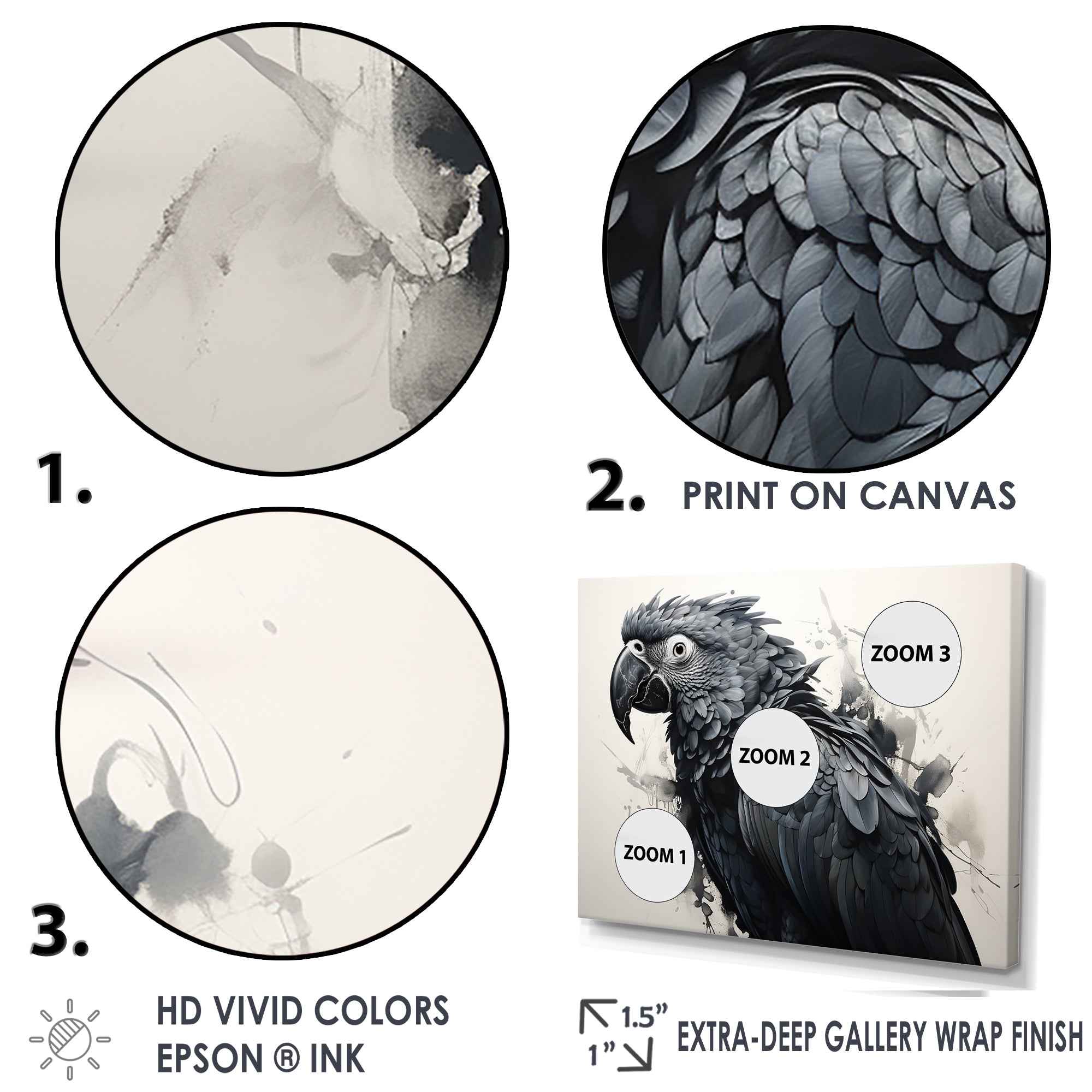 Grey Parrot Feathered Elegance - Gray Parrot Wall Art