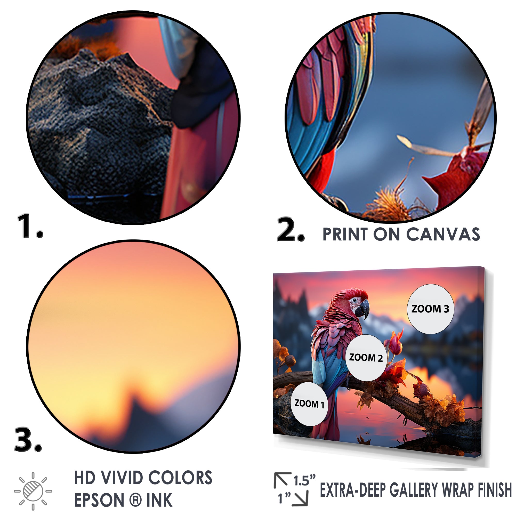 Red And Blue Parrots Radiant Plumage Sunset - Red Parrot Wall Art