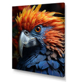 Yellow And Blue Parrots Radiant Plumage Sunset - Parrot Large Canvas Wall Art