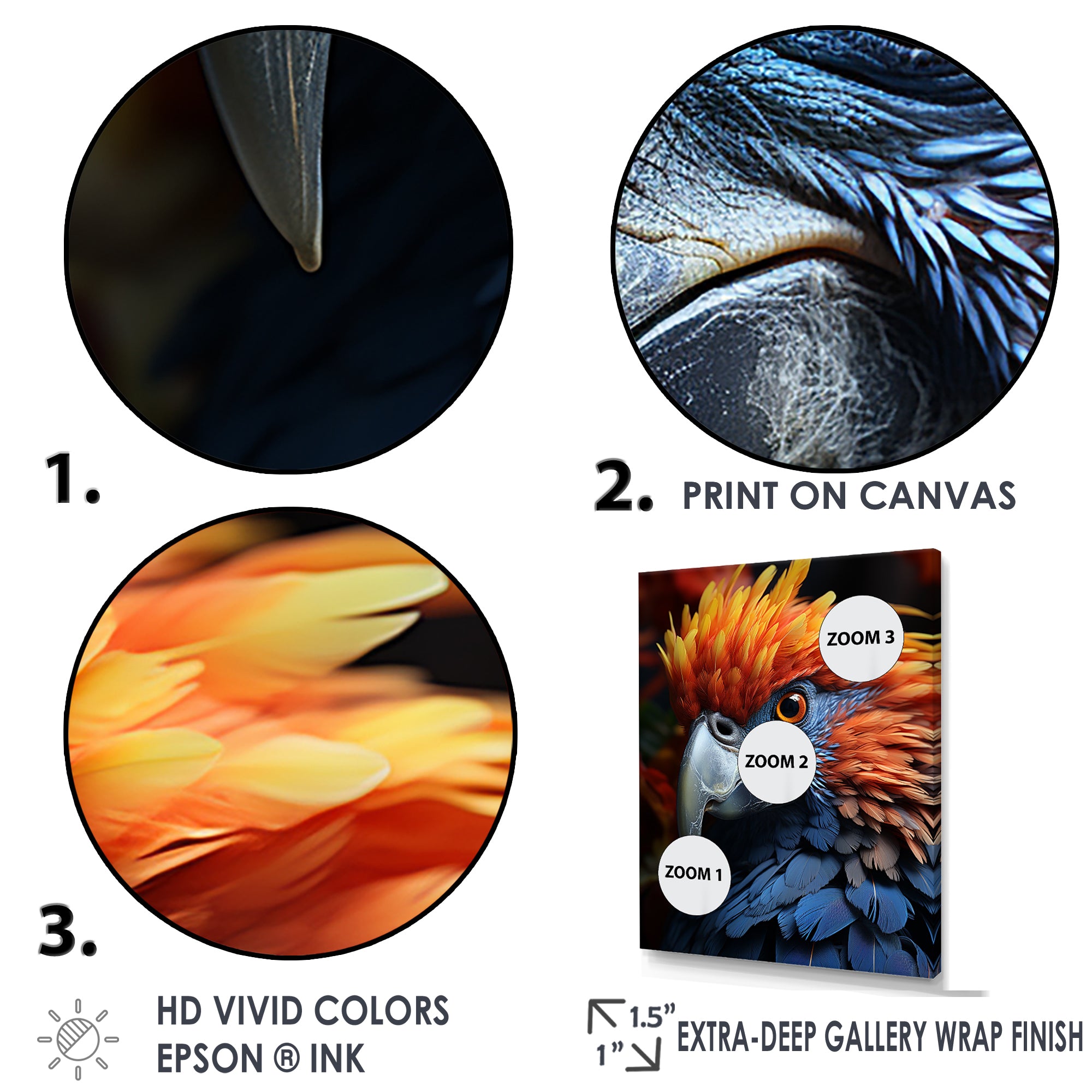 Yellow And Blue Parrots Radiant Plumage Sunset - Parrot Large Canvas Wall Art