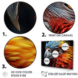 Red And Yellow Mystical Plumage Tropical Rhapsody - Parrot Bedroom Wall Art