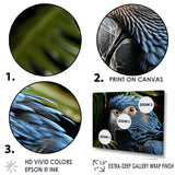 Parrots Sapphire Skies Tropical Forest - Blue Parrot Wall Art